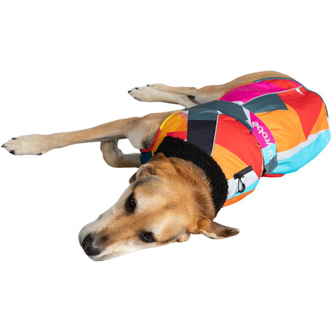 2026 Dryrobe Dog Coat V3DRDC - Abstract